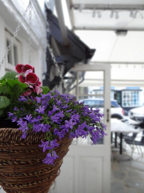 The Slipway B&B Port Isaac Bagian luar foto