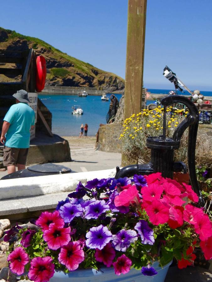 The Slipway B&B Port Isaac Bagian luar foto